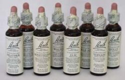 Bach Flower Remedies